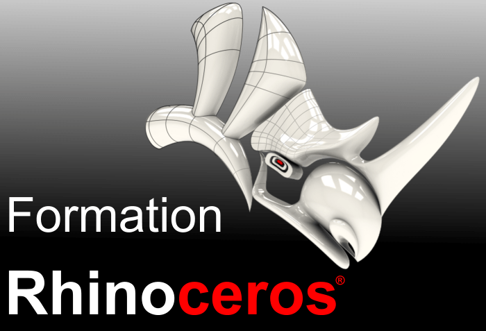 Formations Rhinoceros 3D
